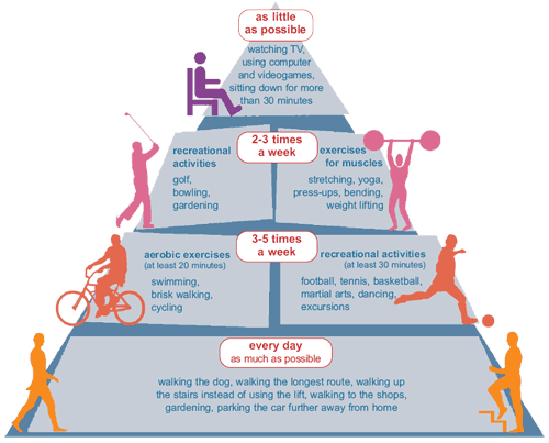 Physical inactivity is a risk factor for cardiovascular disease ...